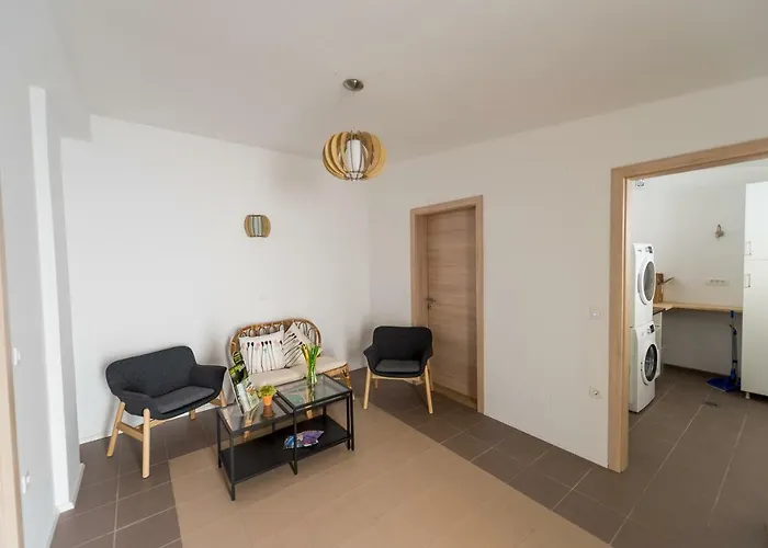 With Parking 公寓 卢布尔雅那