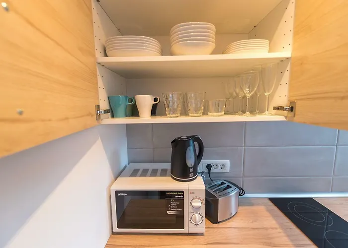 With Parking 公寓 *