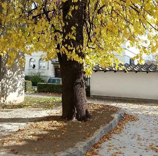 With Parking Apartmán *