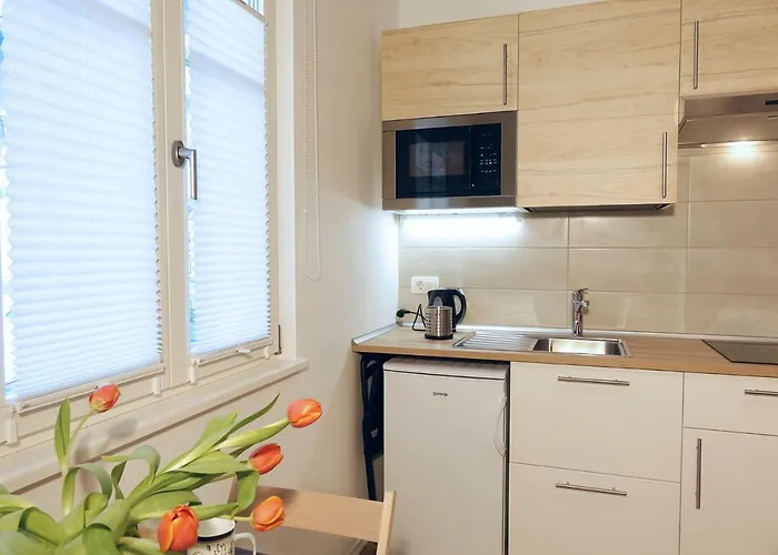 With Parking * Laibach