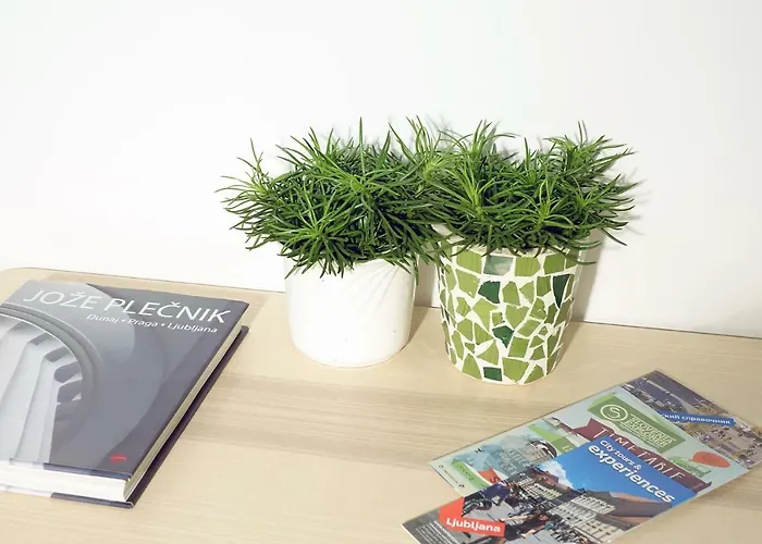 Apartment With Parking *