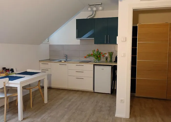 With Parking Laibach