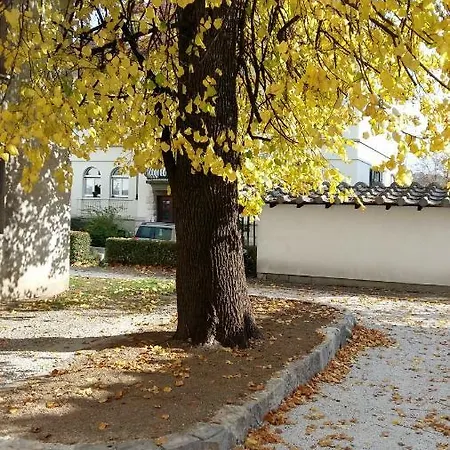 With Parking Appartement *