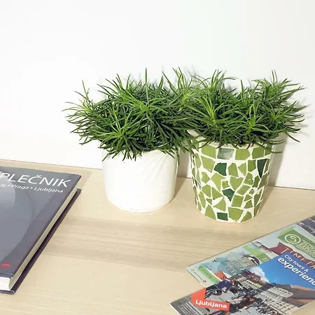 Appartement With Parking *