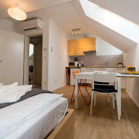 With Parking Appartement Ljubljana